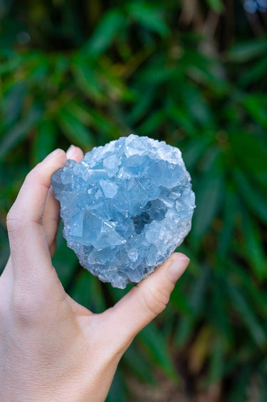 Celestite Cluster
